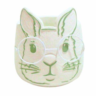 CONEJO VERDE C/GAFAS CEMENTO D.12H13,5 MIN 2 UD